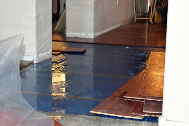 Professional Basement Flood Cleanup technician working in Paris, MS
